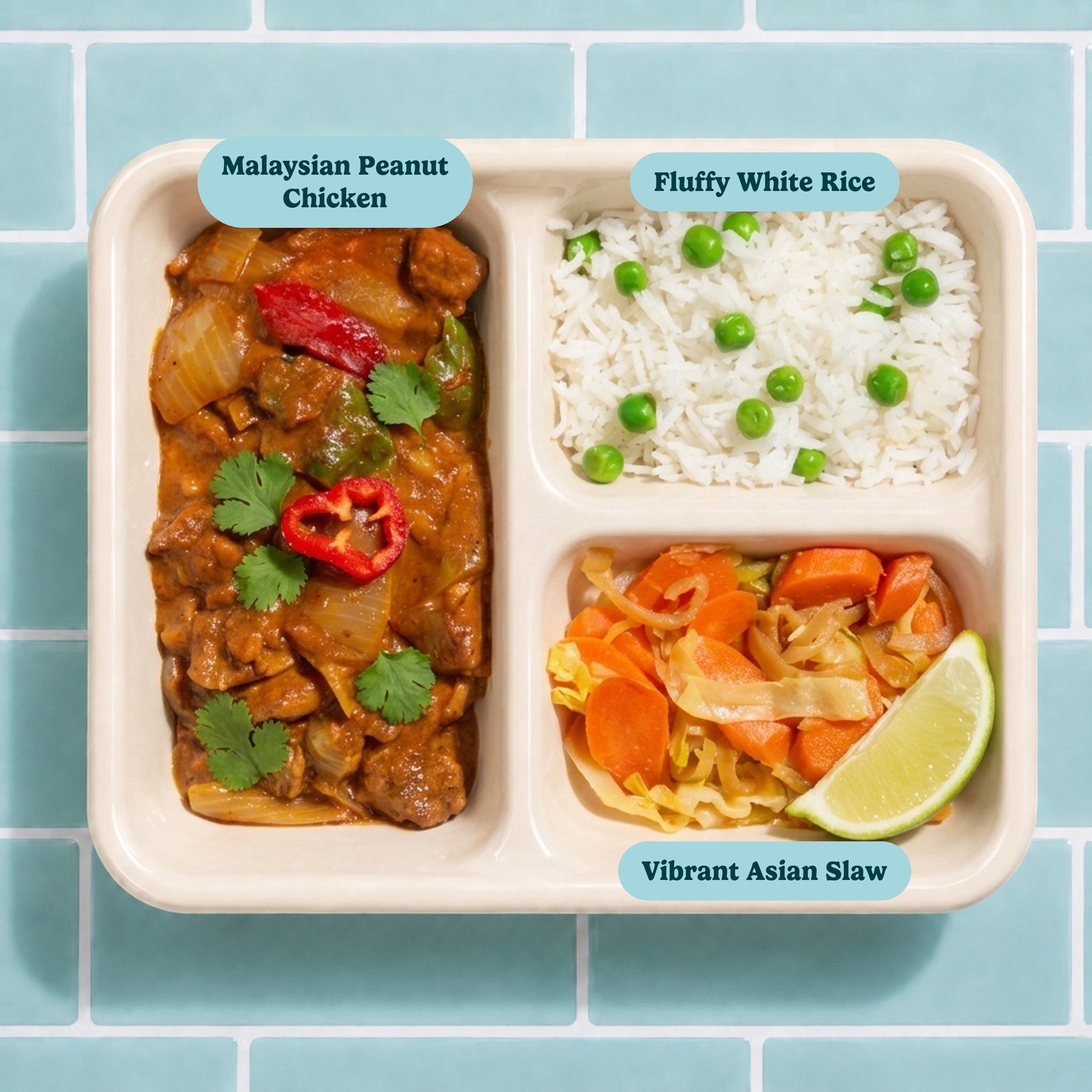 Malaysian Peanut Chicken Curry