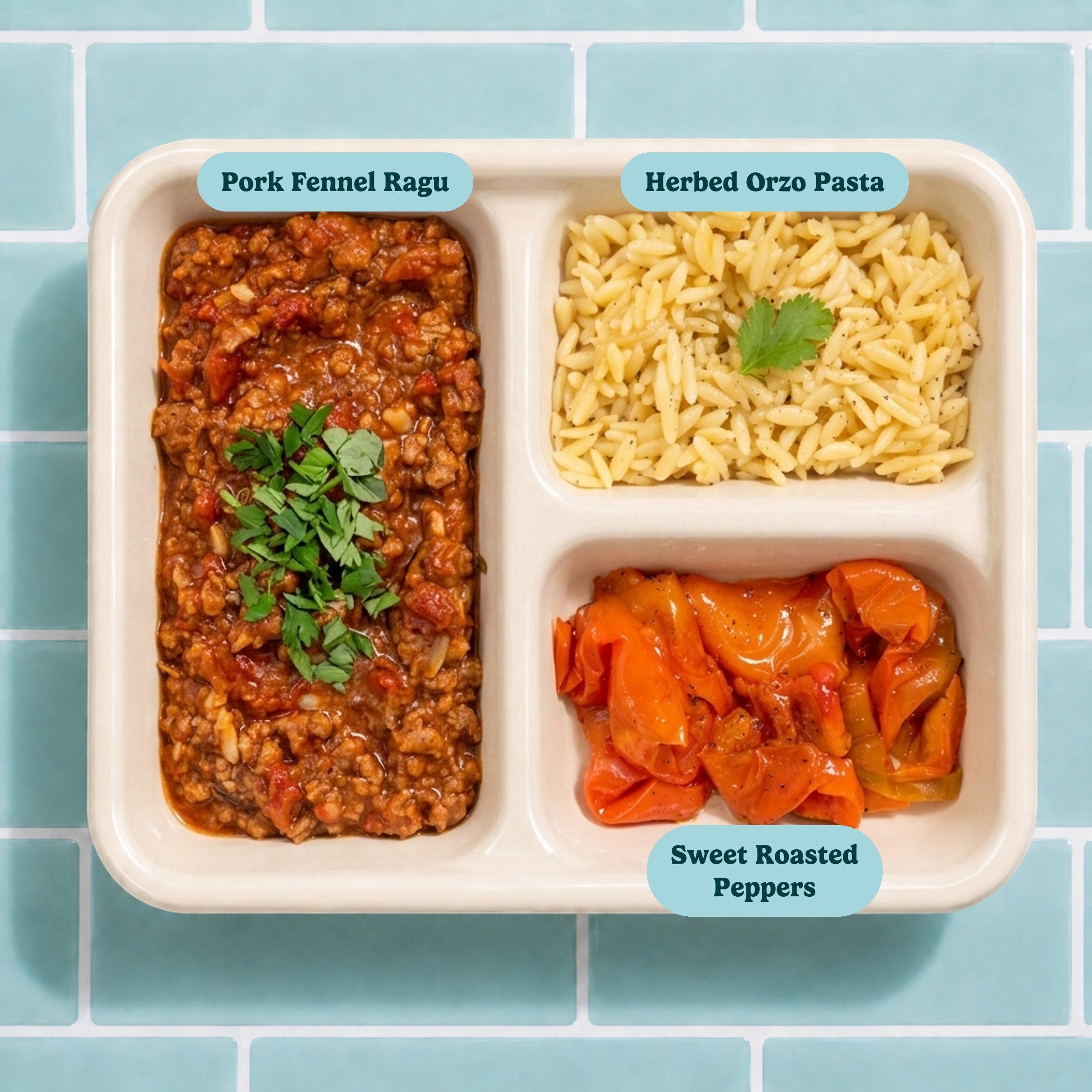 Pork & Fennel Ragu