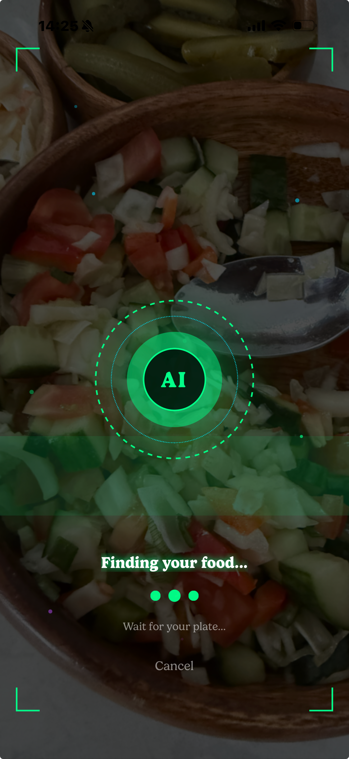 Balance AI photo recognition scanning a meal